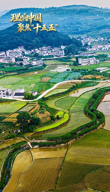 今晚点脱口秀圈是来京东团建吗