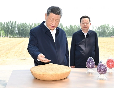 全员晋级八强
