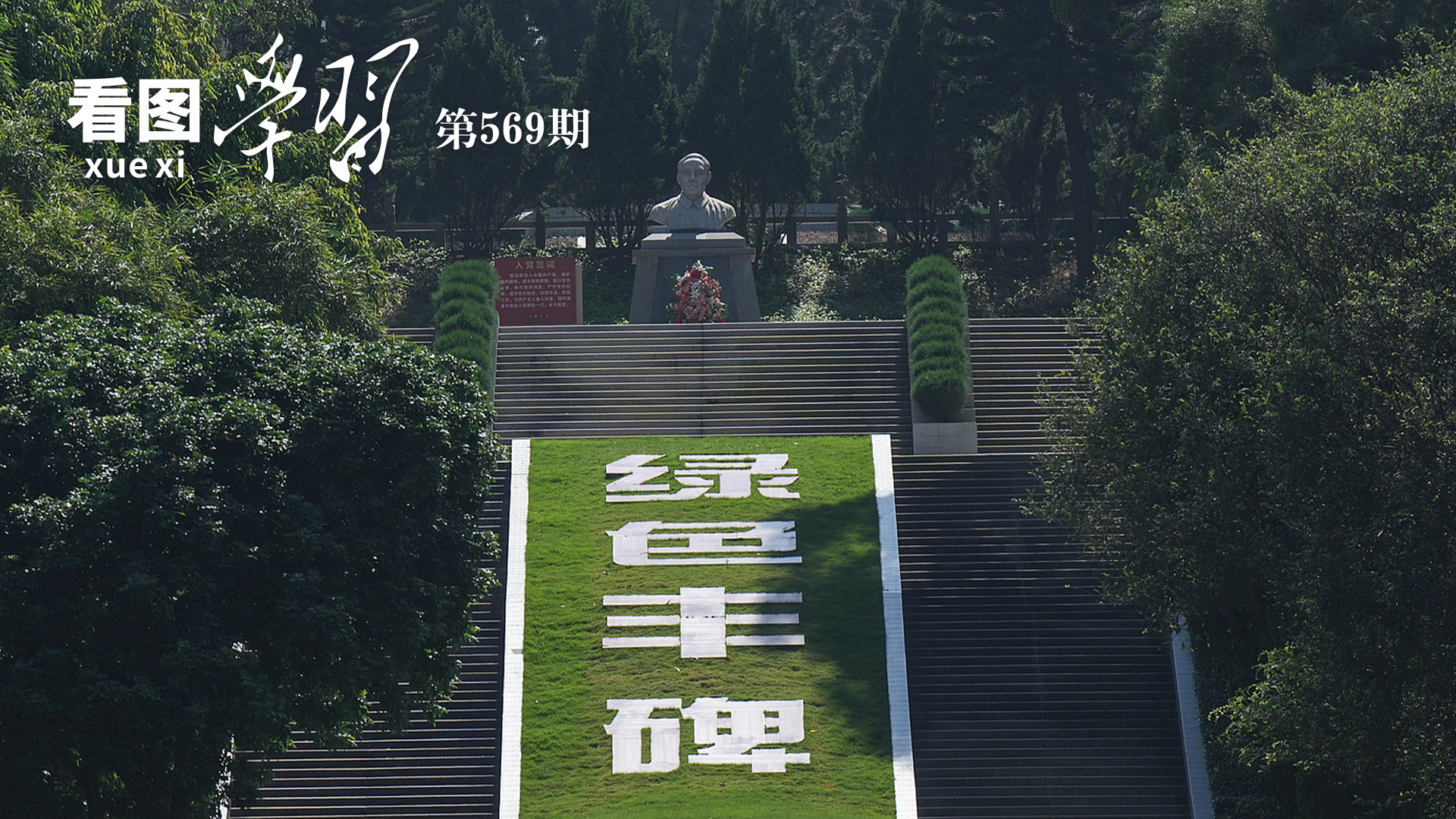 徐艺真上综艺