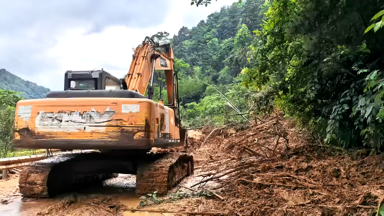 樊振东全锦赛适应场地训练