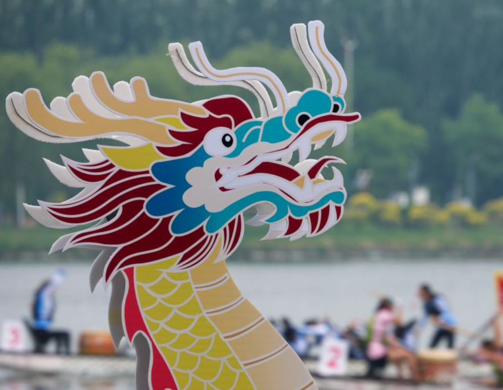 疾控部门回应广东蟑螂已进化