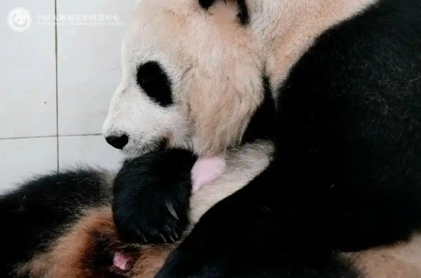 为悼念吴邦国同志天安门下半旗