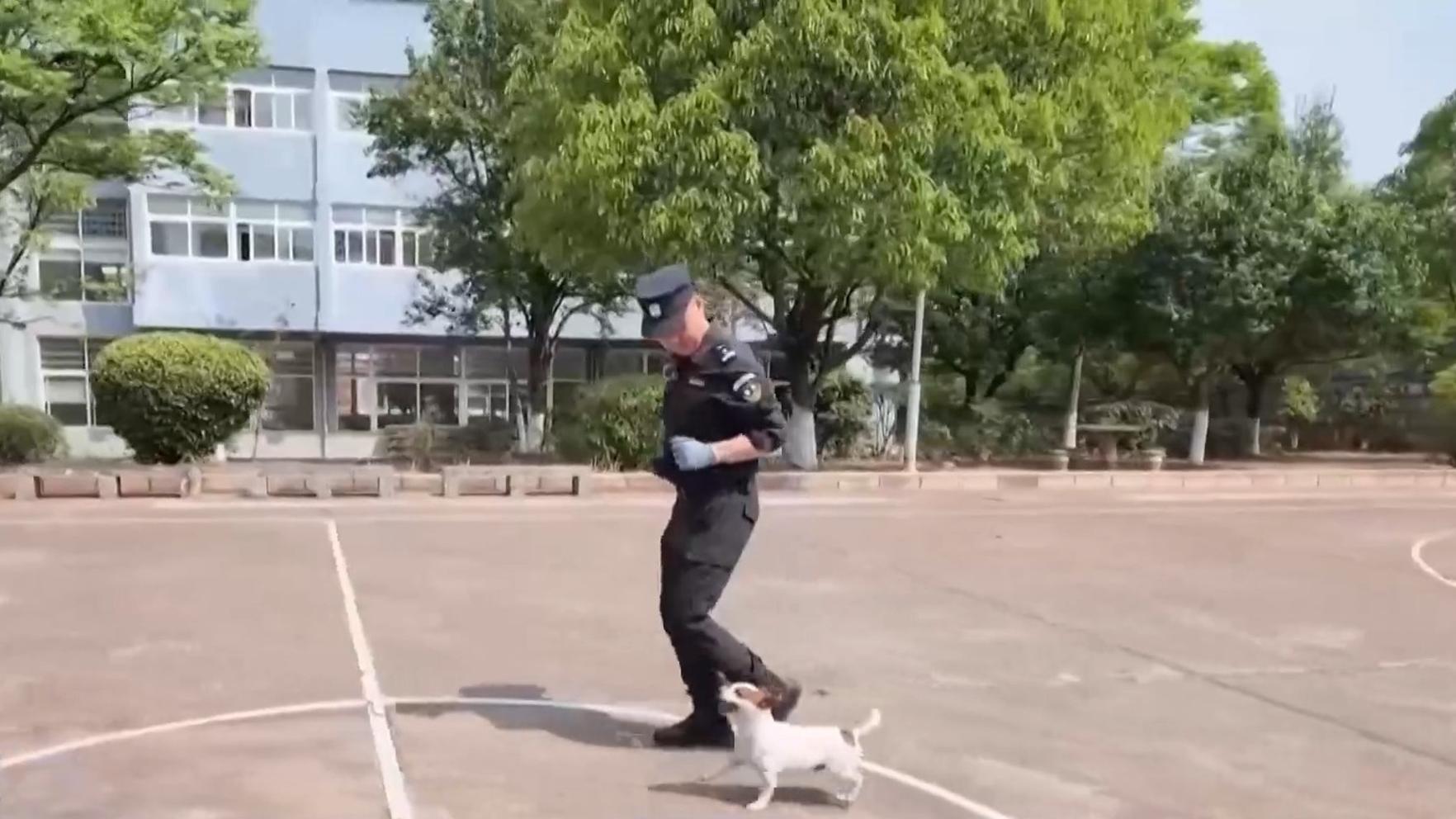 许嵩西安演唱会