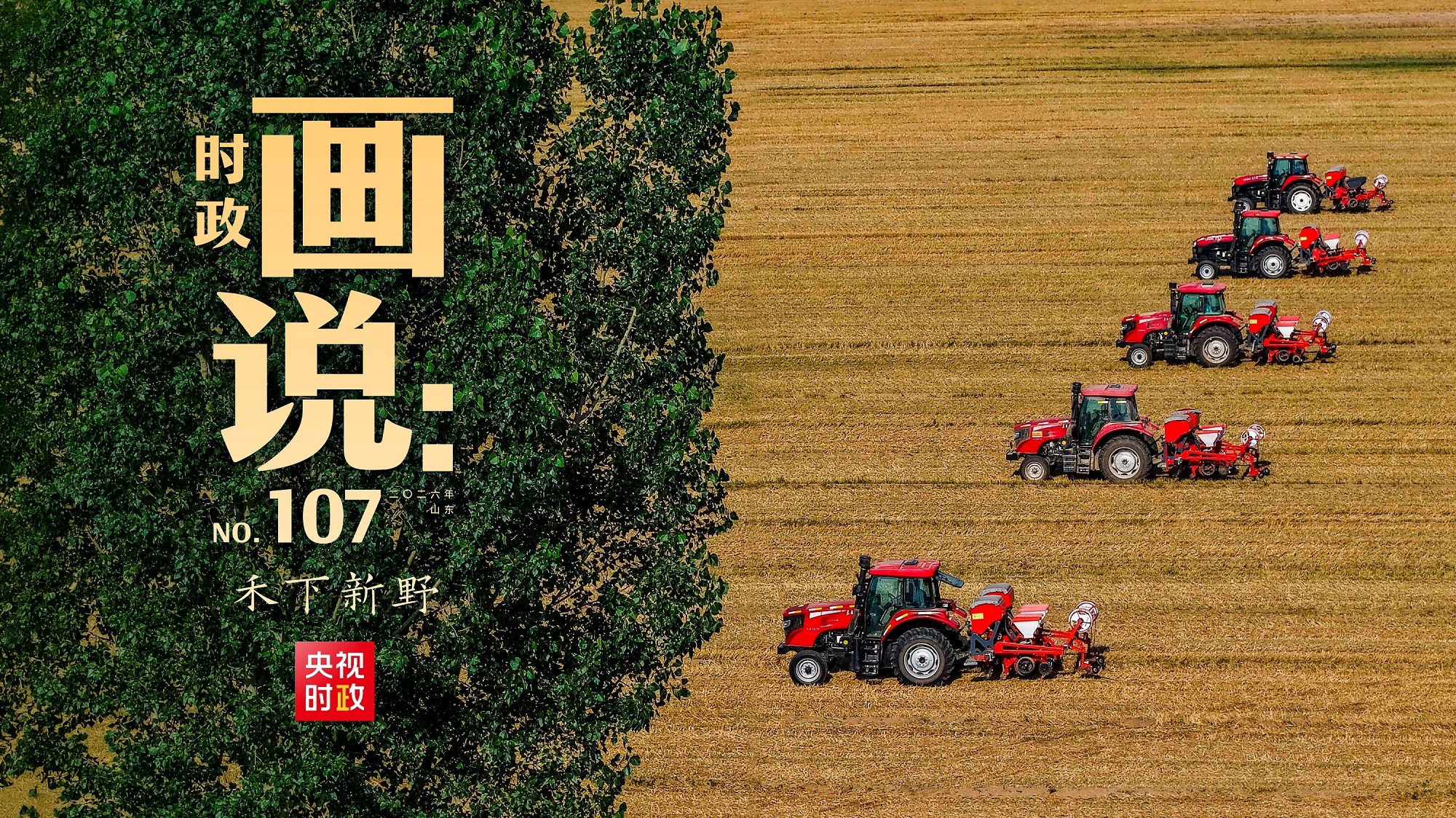 这块草都被小狗养肥了